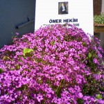 omer_098