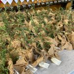 omer-hekim-30-dogum-gunu-18